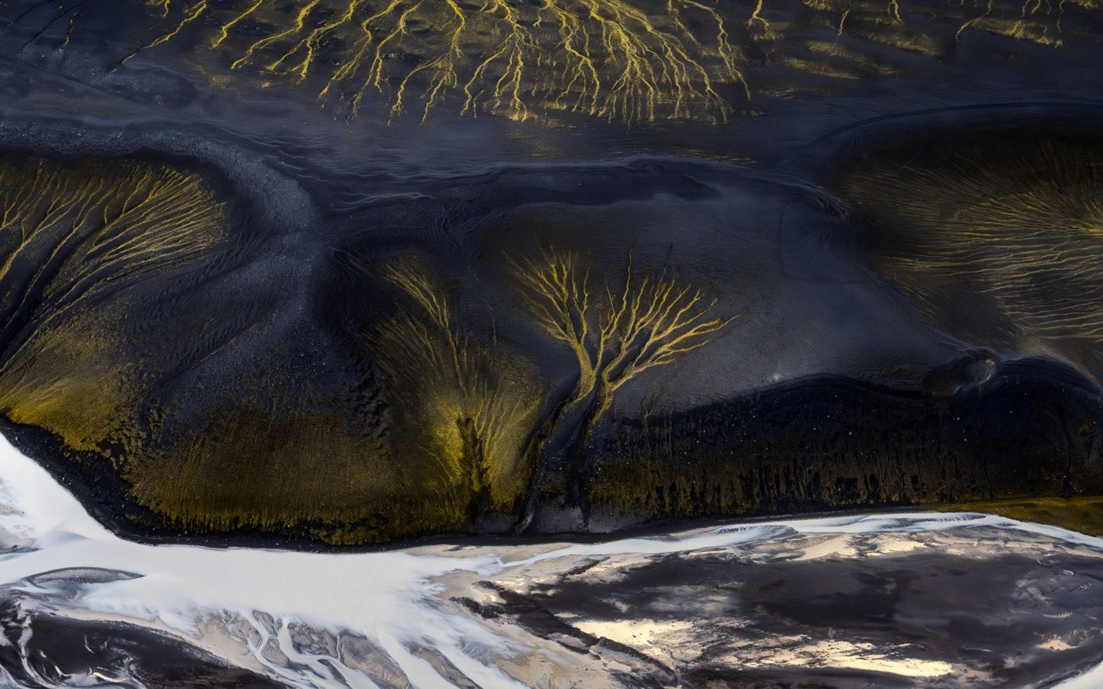 Golden veins on black sand from the air
